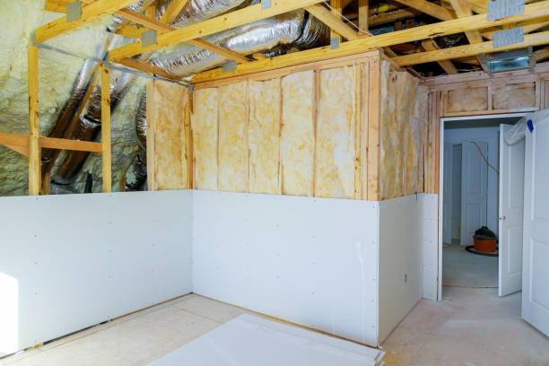 Best Insulation Replacement Services  in North Richland Hills, TX