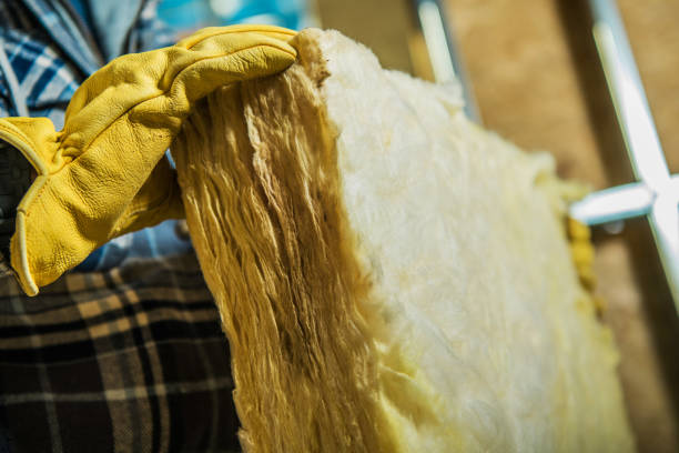 Best Attic Insulation Installation  in North Richland Hills, TX