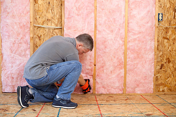Best Attic Insulation Installation  in North Richland Hills, TX